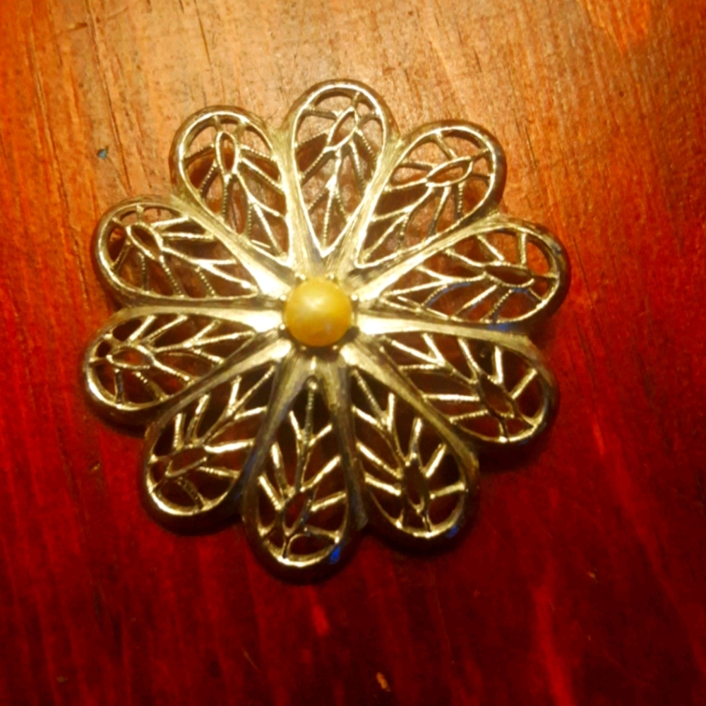 Flower Burst Brooch